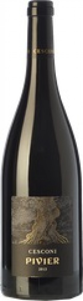 Cesconi Pivier Merlot
