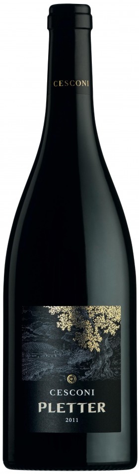 Cesconi Pletter Lagrein Riserva