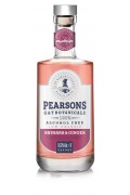 Gin Botanicals Rhubarb And Ginger Non Alcohol
